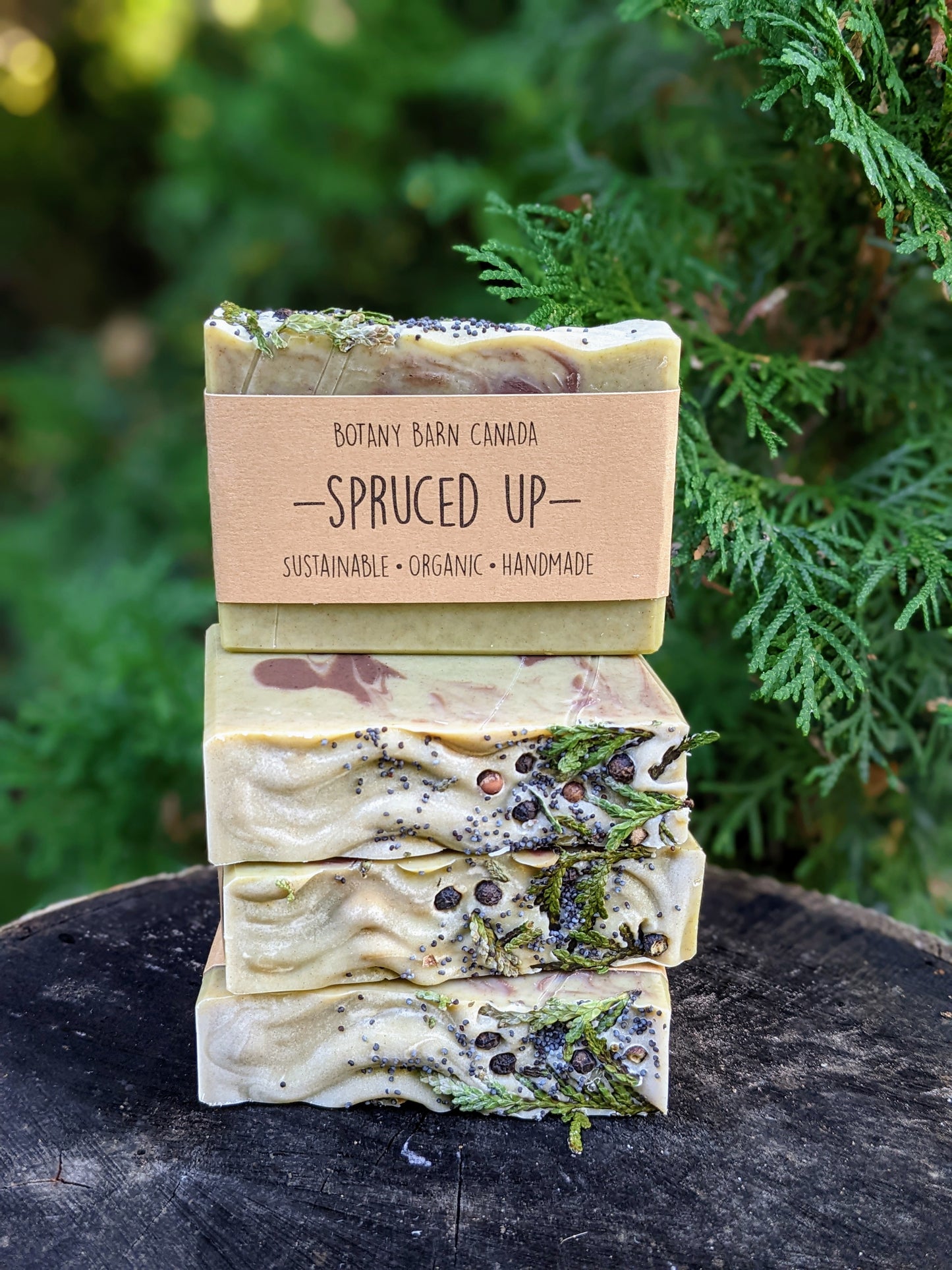 Natural Soap | SPRUCED UP - Black Spruce & Peppermint Soap