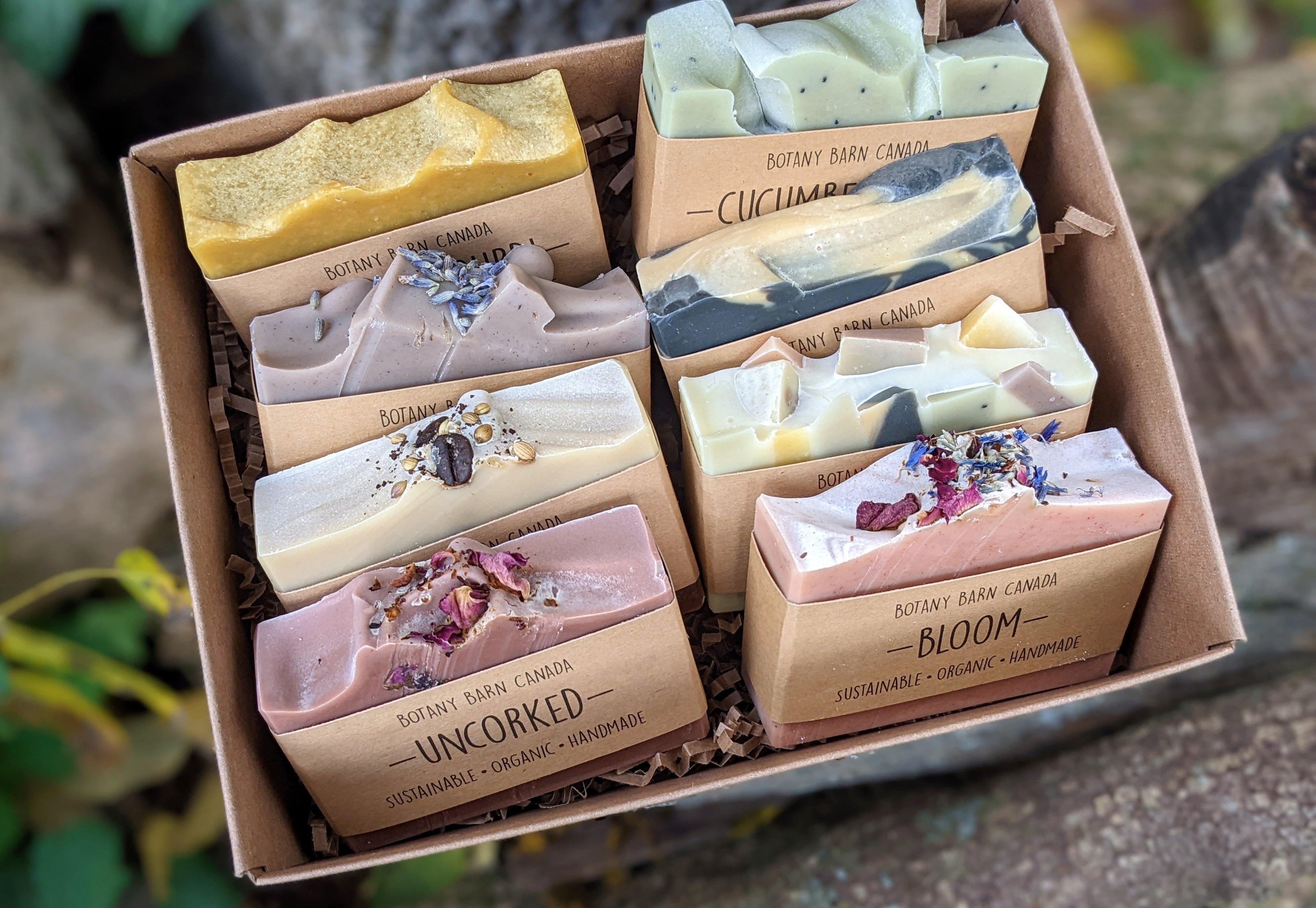 Natural Soaps | Gift Set of Eight Organic Artisan Soaps – Botany