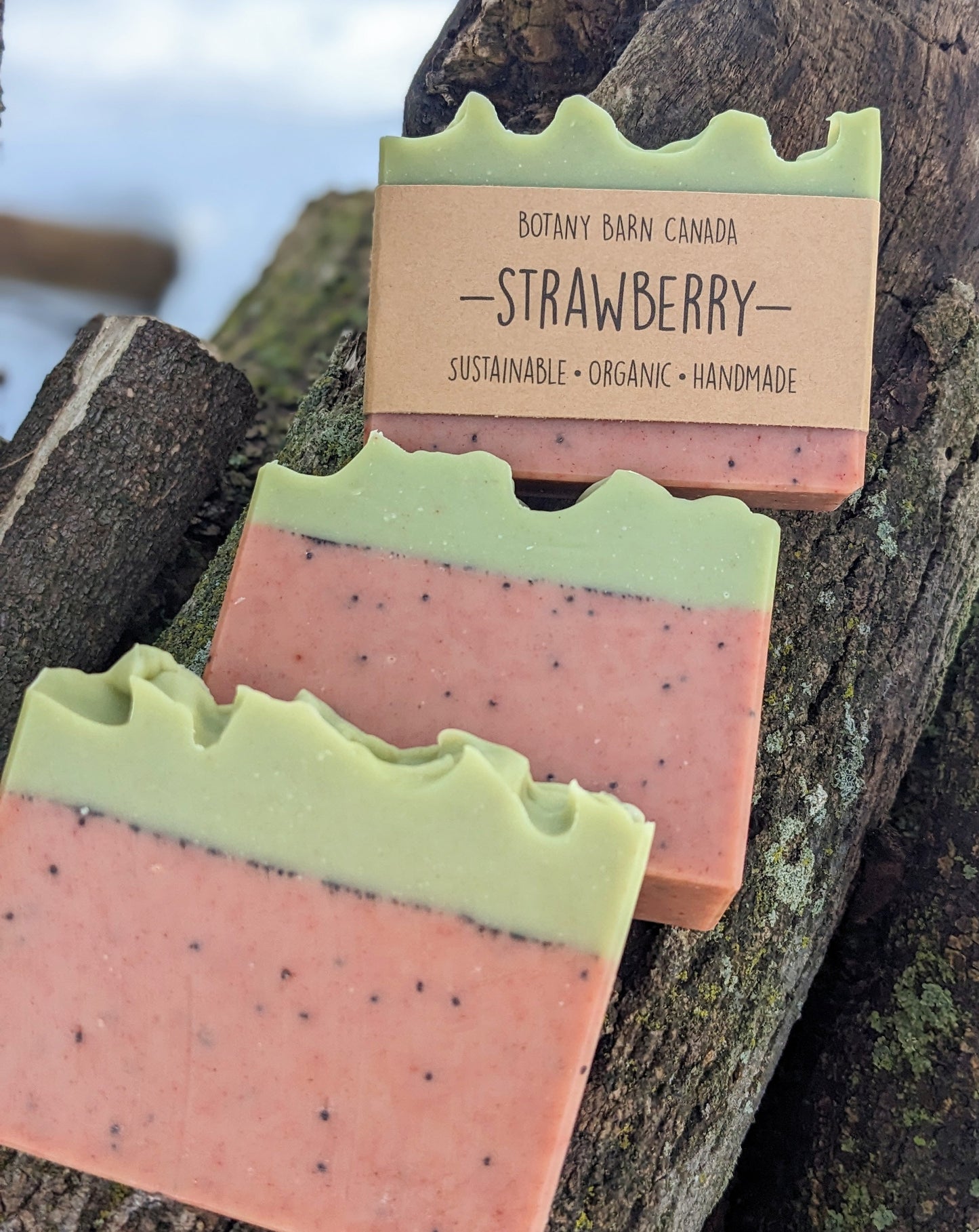 STRAWBERRY - Orange, Lavender & Coconut Milk Soap