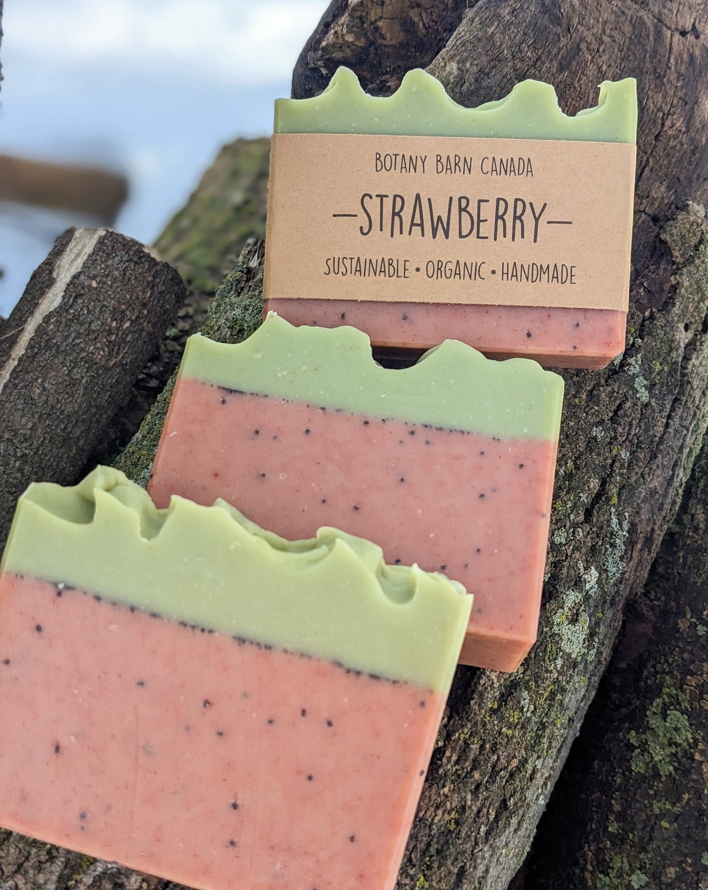 Natural Soap | STRAWBERRY - Orange, Lavender & Coconut Milk Soap