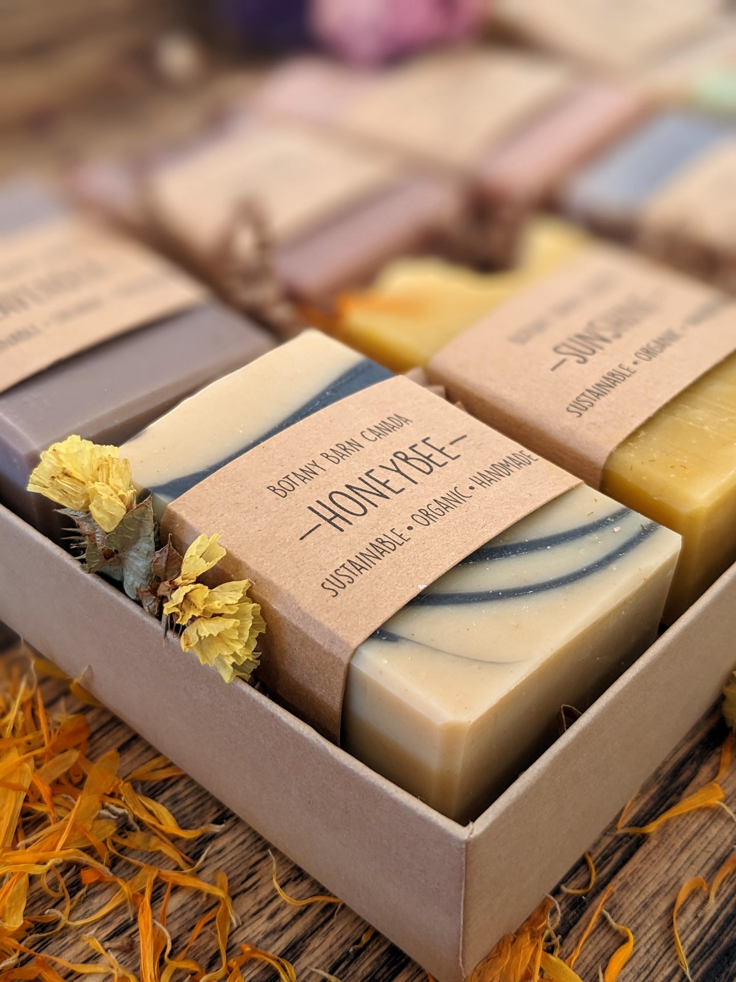 Coffret cadeau de 8 savons aux huiles essentielles faits à la main - Échantillonneur de savon demi-barre