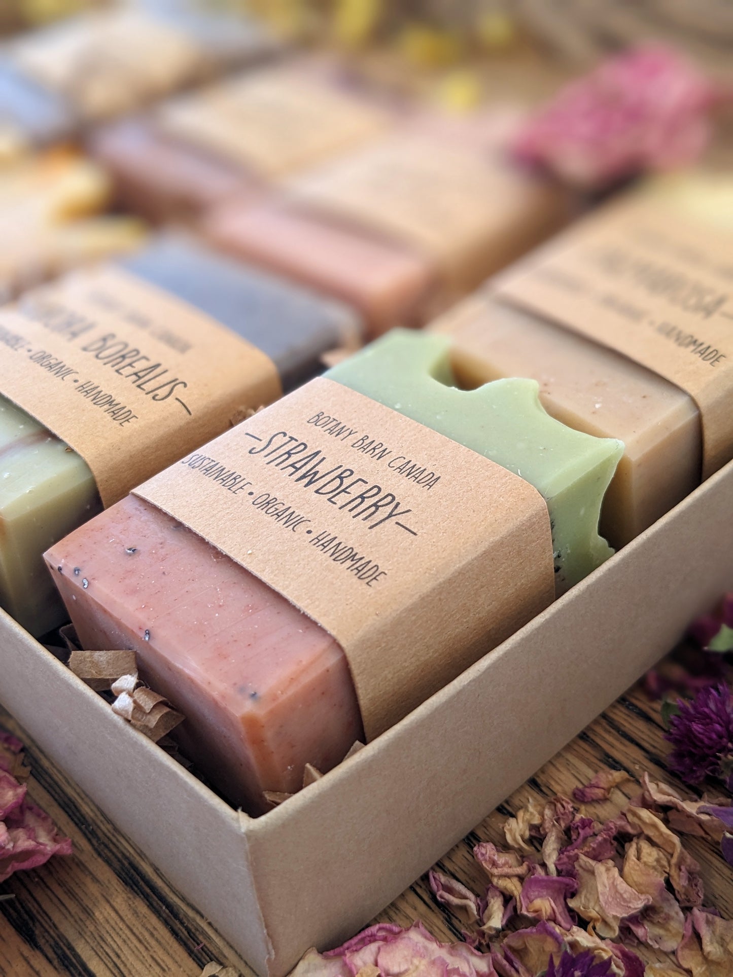 Natural Soaps | Gift Set of 8 Handmade Essential Oil Soaps - Half Bar Soap Sampler