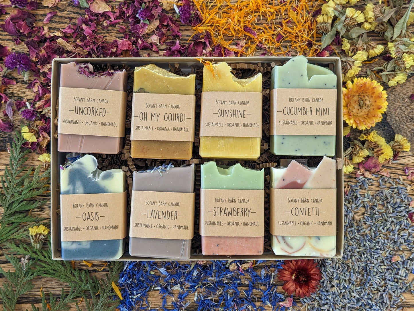 Gift Set of 8 Handmade Essential Oil Soaps - Half Bar Soap Sampler