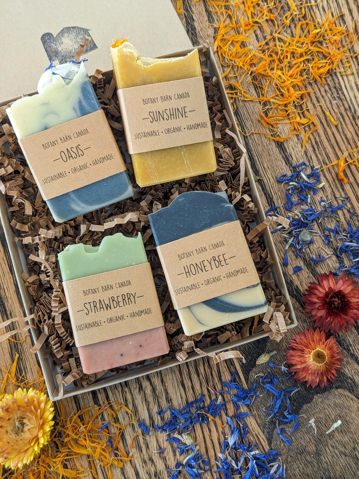 Natural Soaps | Gift Set of 4 Organic Half Bar Soaps