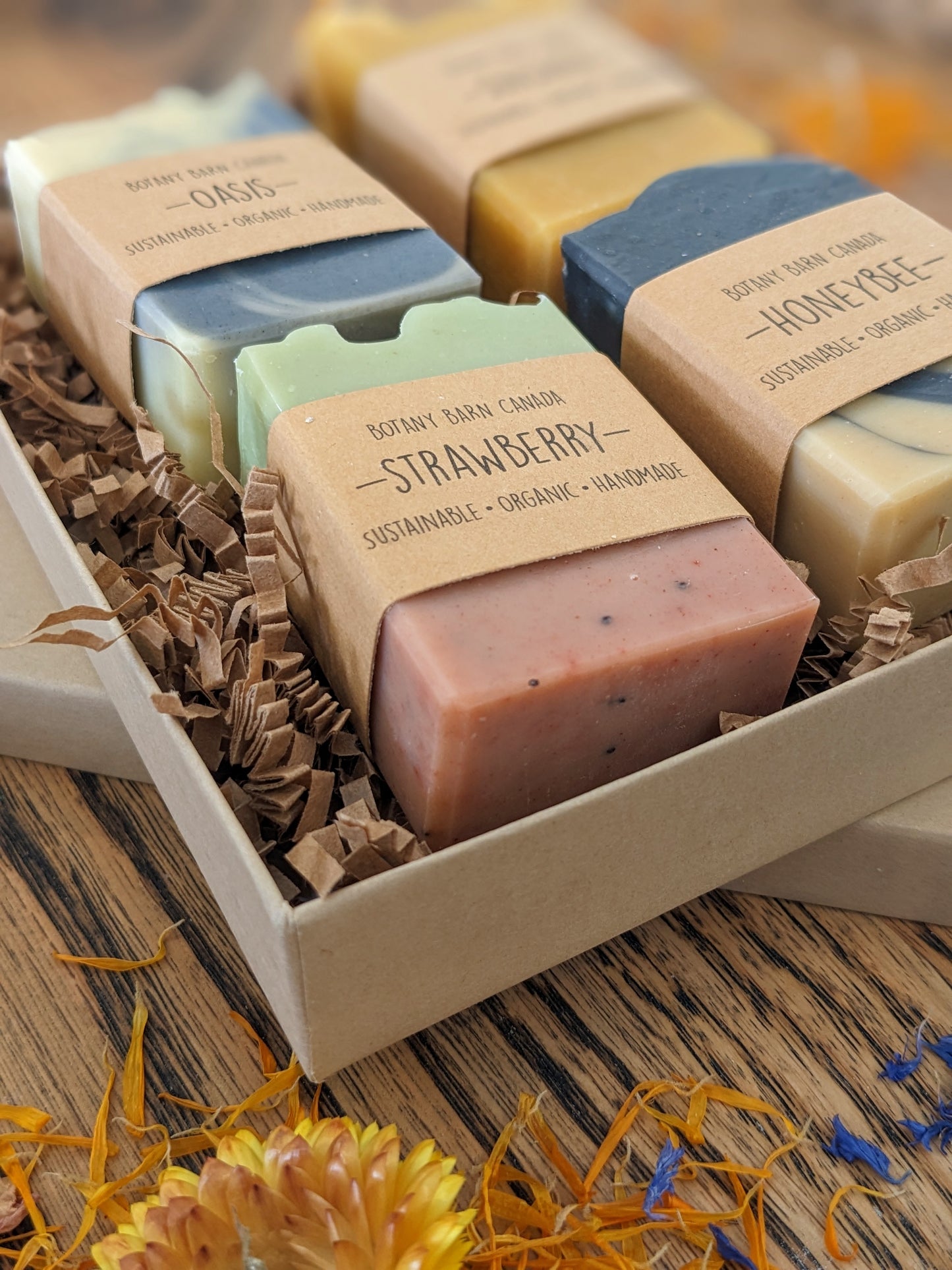 Natural Soaps | Gift Set of 4 Organic Half Bar Soaps