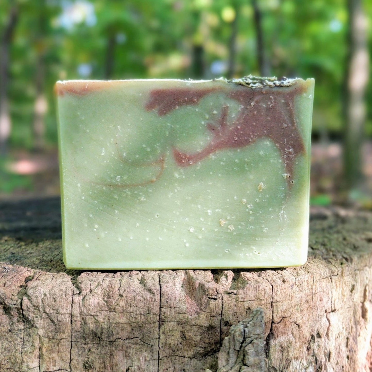 SPRUCED UP - Black Spruce & Peppermint Soap