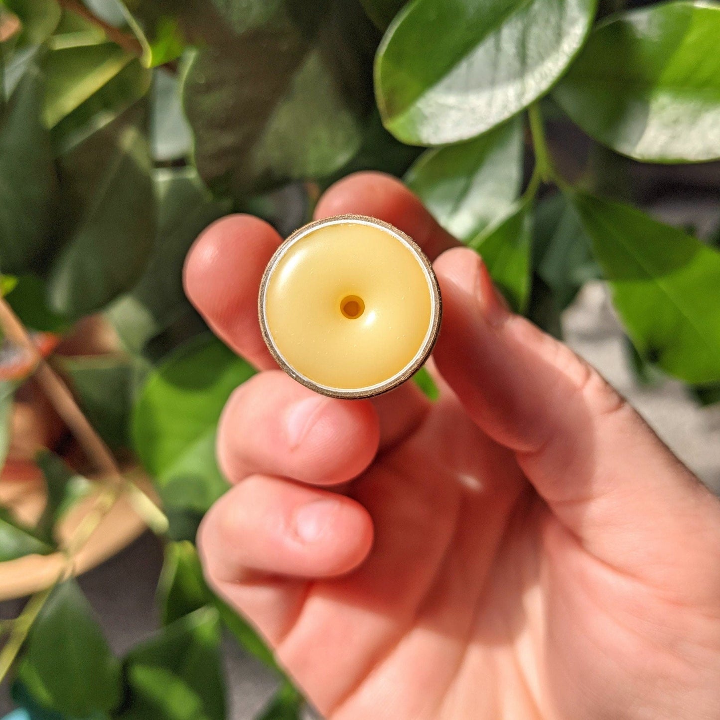 Handmade Organic Lip Balm in Eco Friendly Biodegradable Tube